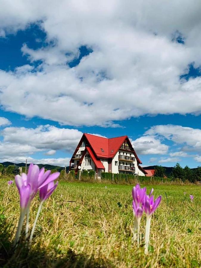 Pensiunea Perla Neamtului Minastirea Neamt Luaran gambar